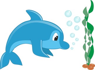 Dolphin