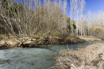 Rio helado (Cañon del Rio Lobos,Soria)