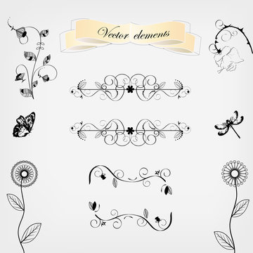 floral design elements vector set