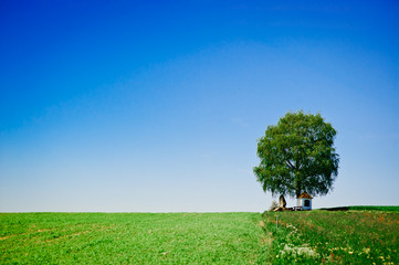 Fototapeta na wymiar Meadow with tree and small chapel