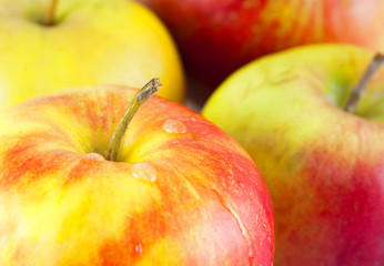 Apples