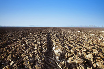 A plowed field on the blue cloudless sky