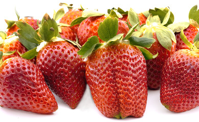 strawberries group