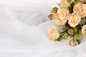 Small roses in a white cloth isolated on white