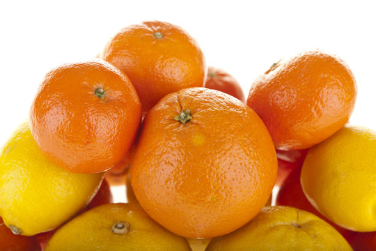 Fresh citrus fruits in studio
