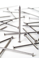 steel nails on white background