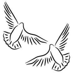 Set of white vector doves.