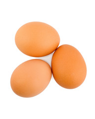 egg
