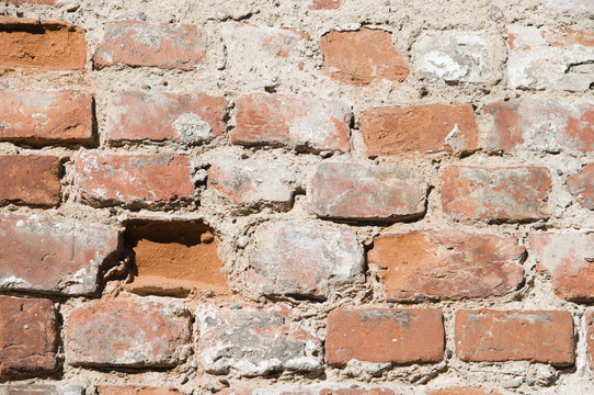 brick wall go to ruin