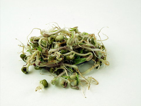 Sprossen