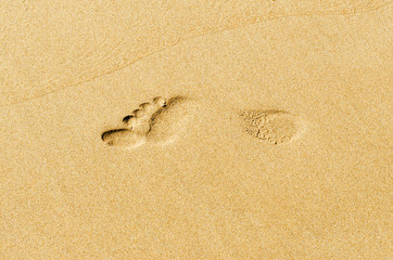 human footprint in the sand