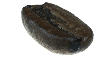 Obraz premium Coffee Bean