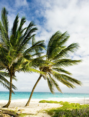 Bottom Bay, Barbados, Caribbean