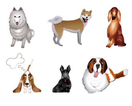 set breeds of dog