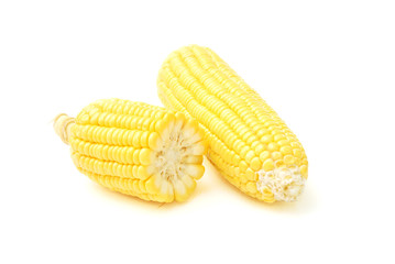 Sweet corn on white background