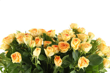 Yellow roses