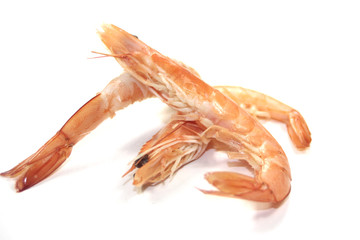 crevettes