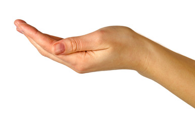 Female gesturing hand