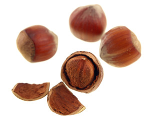 hazelnuts