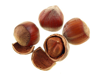 hazelnuts