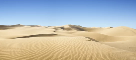 Abwaschbare Fototapete Dürre Goldene Wüste.