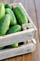cucumbers