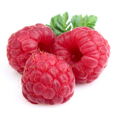 Fresh raspberry with leaves