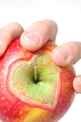 Jabłko w dłoni zdrowie serce rysunek - obrazy, fototapety, plakaty
