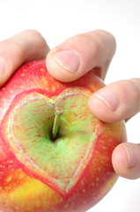 Trzymać jabłko w dłoni rysunek serce - obrazy, fototapety, plakaty