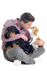 chihuahua, cockers anglais et jeune homme