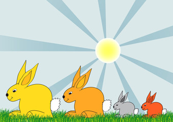 Hasen in der Frühlingssonne