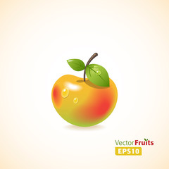 Vector fruits illustration