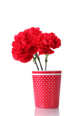 Bouquet of carnations in a glass isolated on white