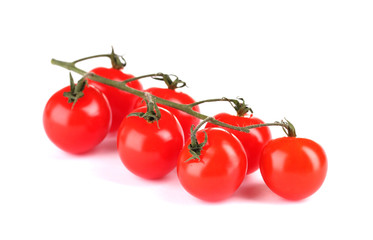 Beautiful cherry tomatoes on a branch isolated on white