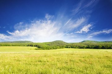 Big green mountain meadow.