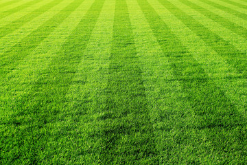 Obraz premium boisko do piłki nożnej gruens