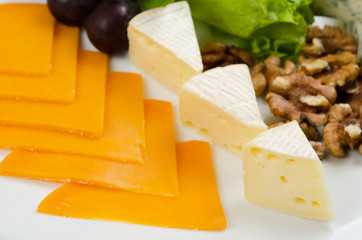 cheese