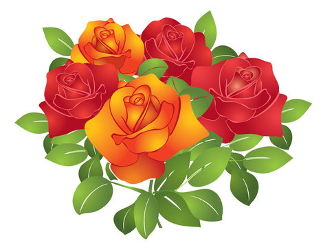 vector red and orange beautiful flowers - roses