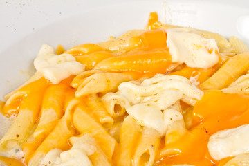 Penne pasta with parmesan, dor blue, chamamber and mozzarella