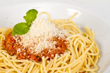 spaghetti pasta with tomato beef sauce