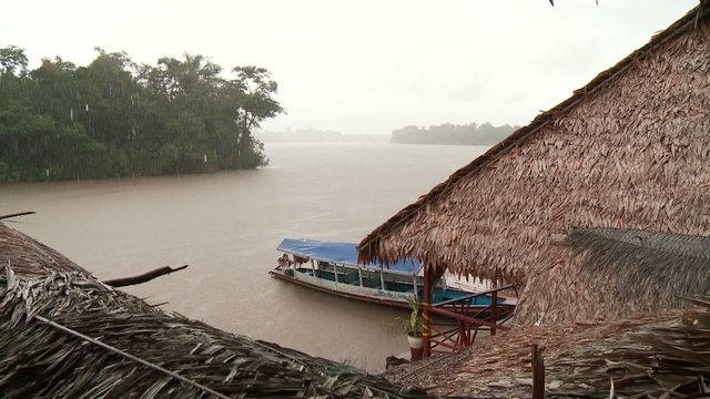 Amazonas in Regenzeit
