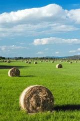 Beautiful green field © Arpad
