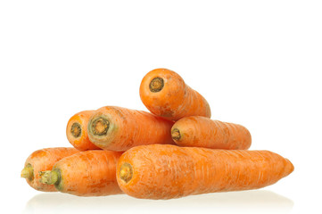 Fresh carrot