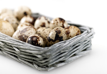 Quail eggs into the wicker basket