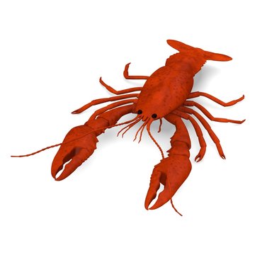 3d render of dead crayfish