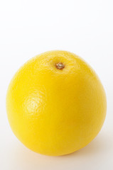 グレープフルーツ