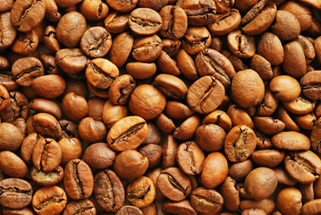 Coffee beans