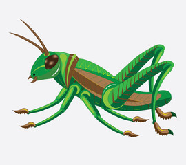 Green-brown grasshopper.