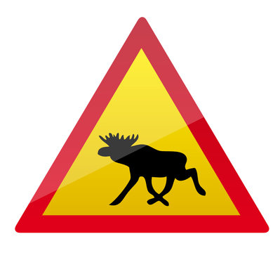 Elchschild