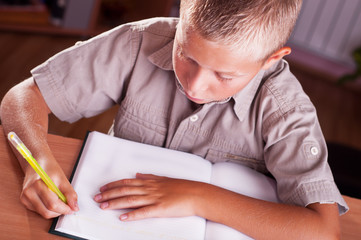 Schoolboy doing his homework